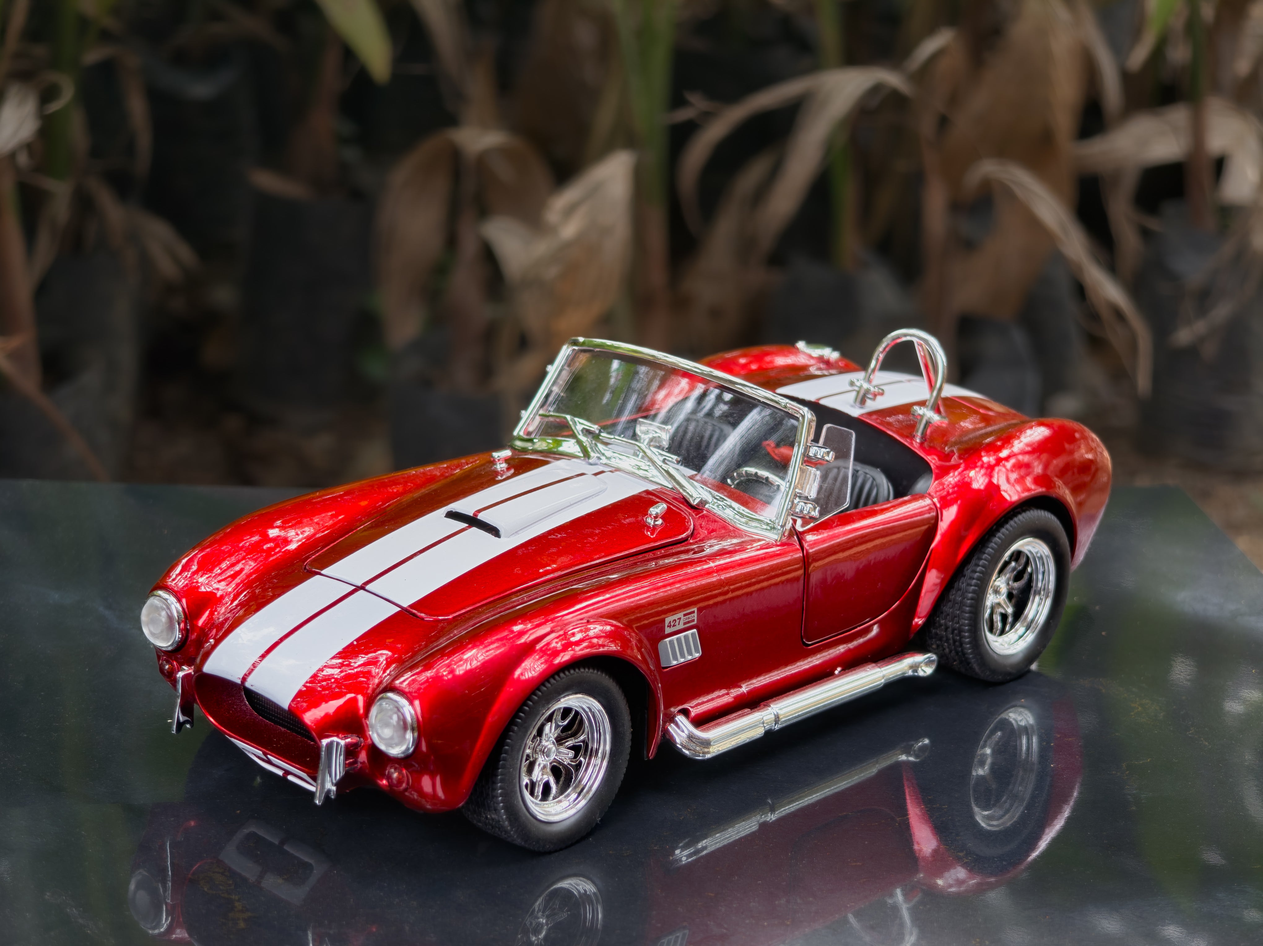 1965 Shelby Cobra 427 S/C 1:24 Scale Premium Detailing – Inhabit